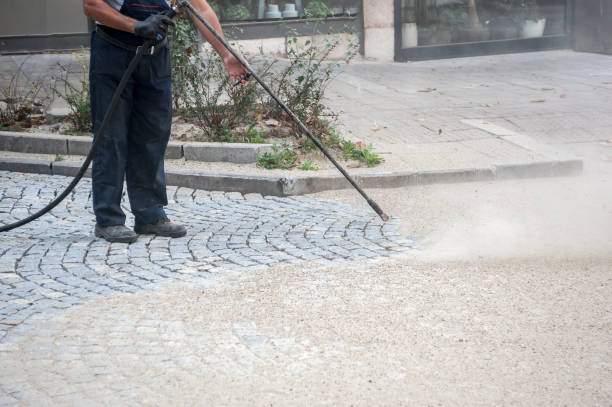 Best Roof Washing  in Elwood, IN