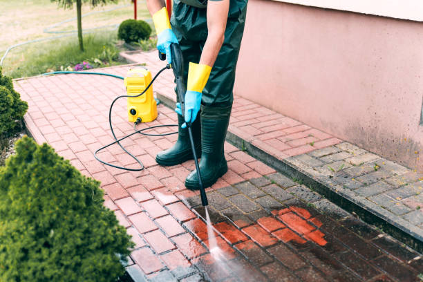 Best Roof Washing  in Elwood, IN